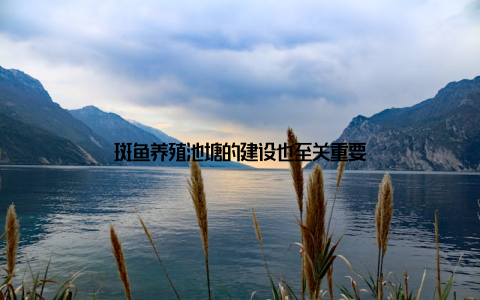 斑鱼养殖池塘的建设也至关重要