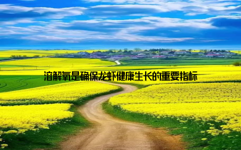 溶解氧是确保龙虾健康生长的重要指标
