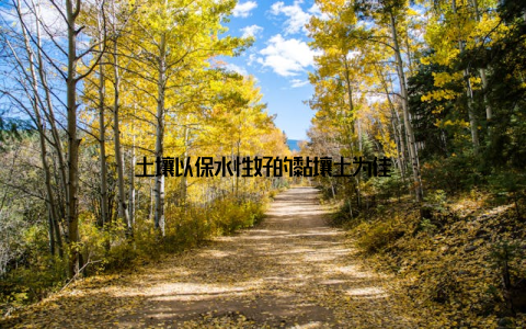 土壤以保水性好的黏壤土为佳