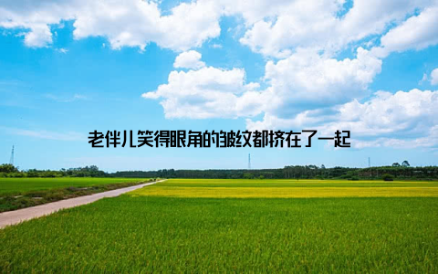 老伴儿笑得眼角的皱纹都挤在了一起