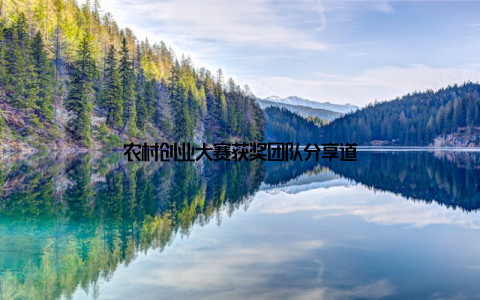 农村创业大赛获奖团队分享道