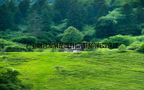 产业融合发展是提升价值链的有效途径