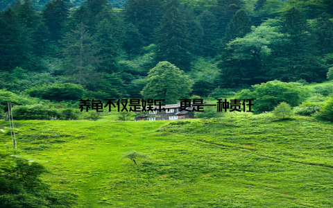 养龟不仅是娱乐, 更是一种责任
