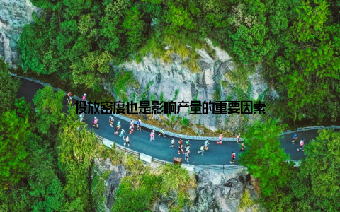 投放密度也是影响产量的重要因素