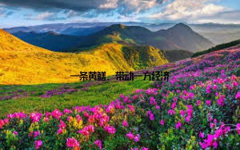 一条黄鳝, 带动一方经济