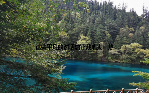 这些平凡的对话总让我心头一热