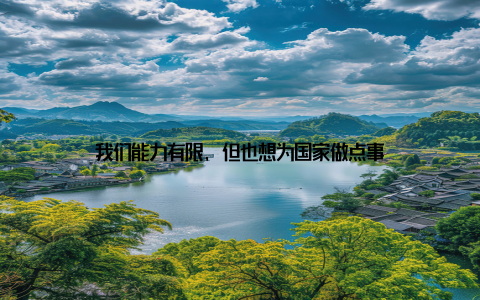 我们能力有限, 但也想为国家做点事