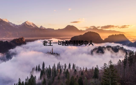 老王一句话点醒梦中人