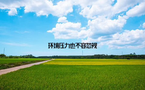 环境压力也不容忽视