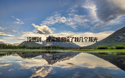 没想到, 现实狠狠给了我几个耳光