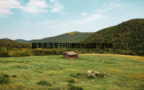 夏季高温季节可增加水面曝气时间