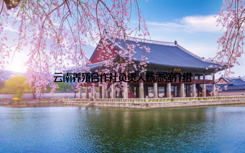 云南养殖合作社负责人杨志强介绍
