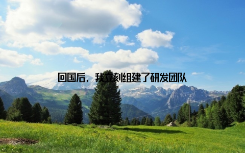 回国后, 我立刻组建了研发团队