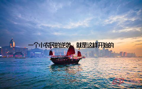 一个小农民的逆袭, 就是这样开始的