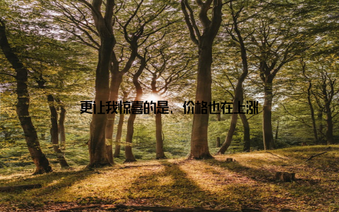 更让我惊喜的是, 价格也在上涨