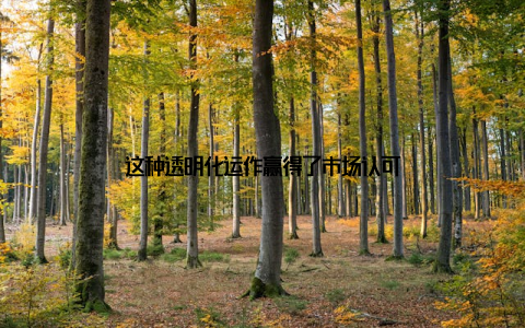 这种透明化运作赢得了市场认可
