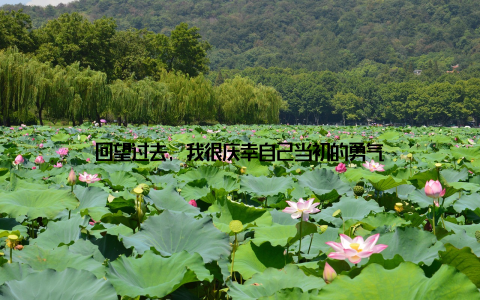 回望过去, 我很庆幸自己当初的勇气