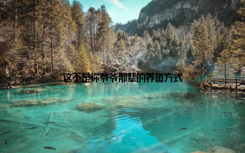 这不是你爷爷那辈的养鱼方式