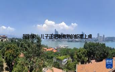 回到家, 儿子正把刚煮熟的虾摆上桌