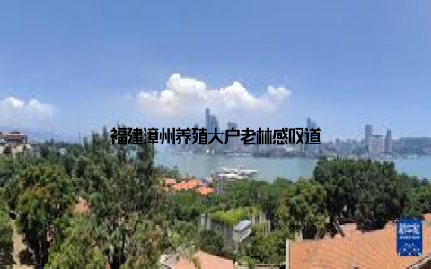 福建漳州养殖大户老林感叹道