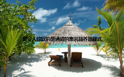 更令人惊叹的是通威的集装箱养鱼模式