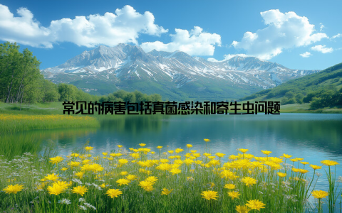 常见的病害包括真菌感染和寄生虫问题