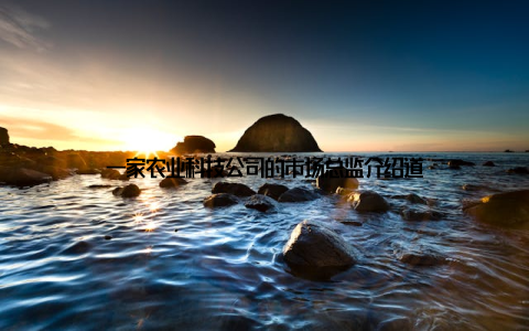 一家农业科技公司的市场总监介绍道