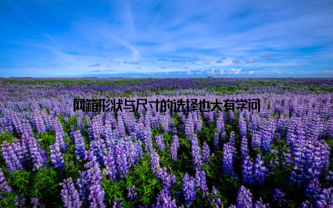 网箱形状与尺寸的选择也大有学问
