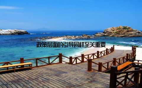 政策层面的引导同样至关重要