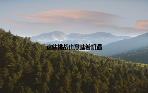 这些挑战也意味着机遇