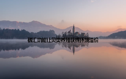 碳汇功能让贝类养殖获得环境溢价