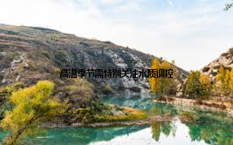 高温季节需特别关注水质调控