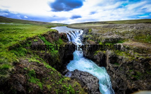 病害防控体系是保证虾苗健康的屏障