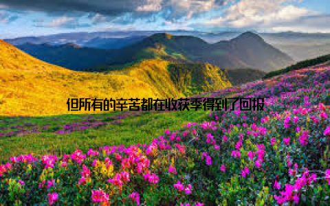 但所有的辛苦都在收获季得到了回报