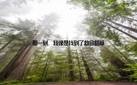 那一刻, 我像是找到了救命稻草