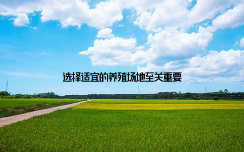 选择适宜的养殖场地至关重要