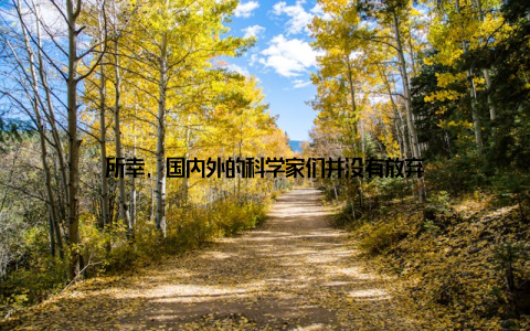 所幸, 国内外的科学家们并没有放弃