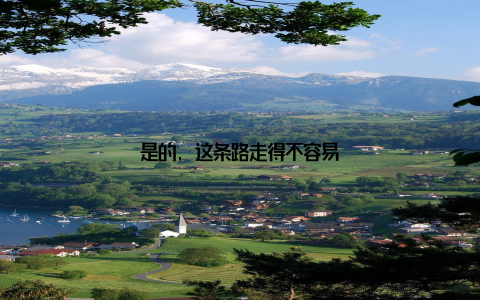 是的, 这条路走得不容易