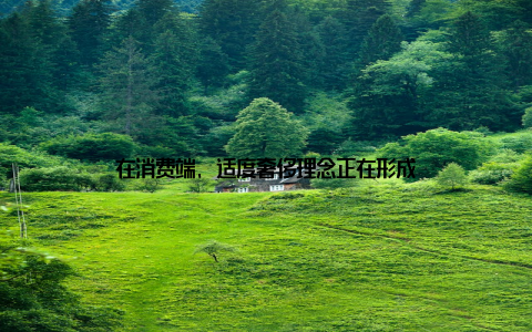 在消费端, 适度奢侈理念正在形成