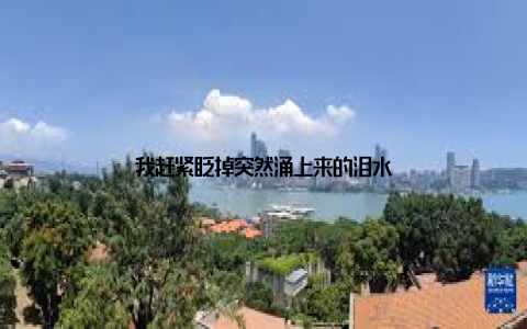 我赶紧眨掉突然涌上来的泪水