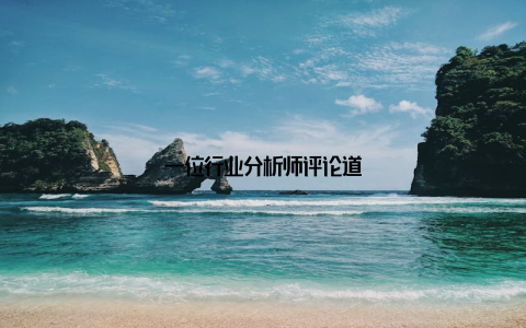 一位行业分析师评论道