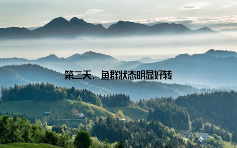 第二天, 鱼群状态明显好转