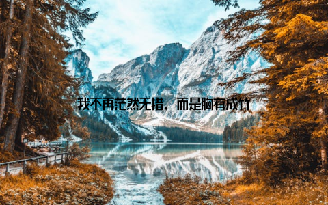 我不再茫然无措, 而是胸有成竹