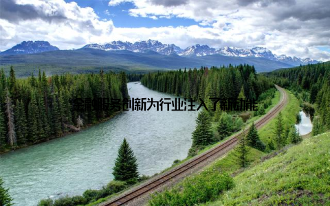 金融服务创新为行业注入了新动能