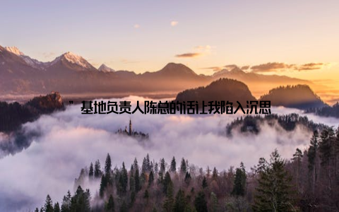 ”基地负责人陈总的话让我陷入沉思