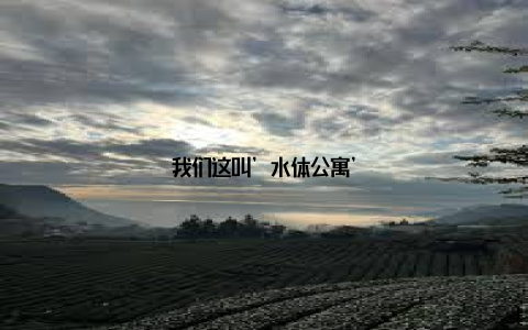 我们这叫’水体公寓’