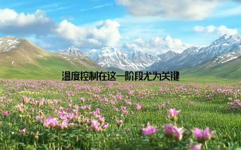 温度控制在这一阶段尤为关键