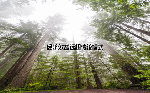 经济效益远超传统模式