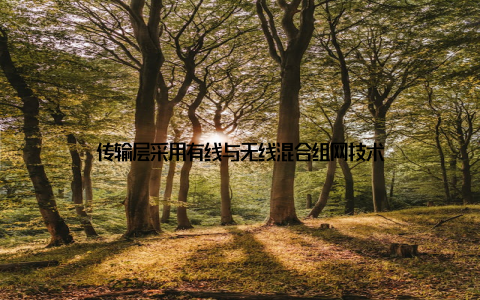 传输层采用有线与无线混合组网技术