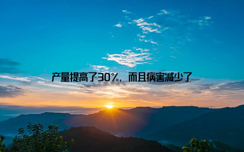 产量提高了30%, 而且病害减少了